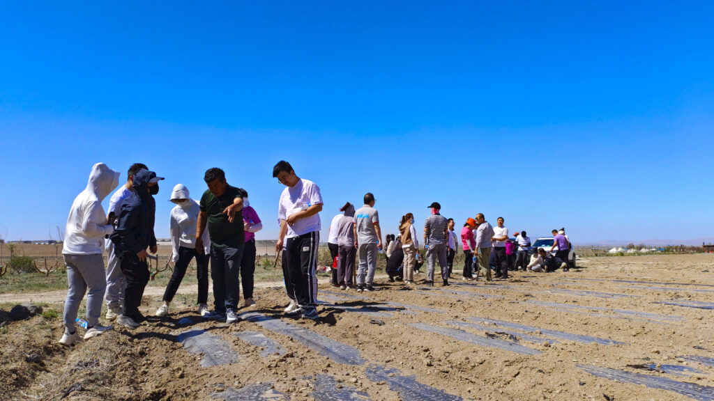 走进田园 播种希望|esball物流春种团建运动