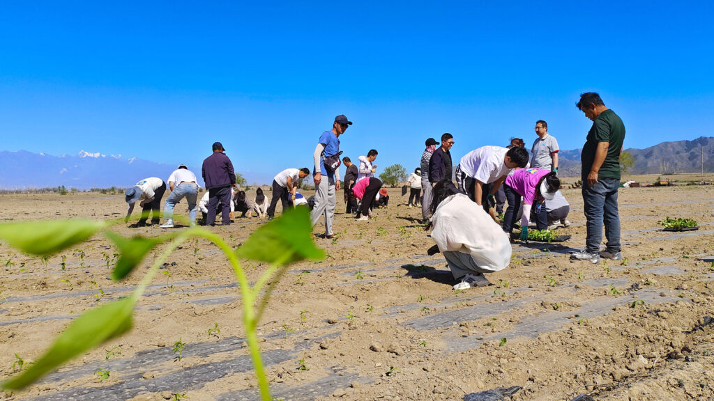 走进田园 播种希望|esball物流春种团建运动